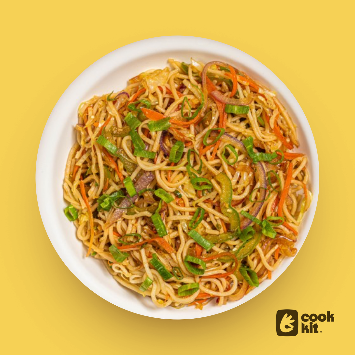 Veg Hakka Noodles.