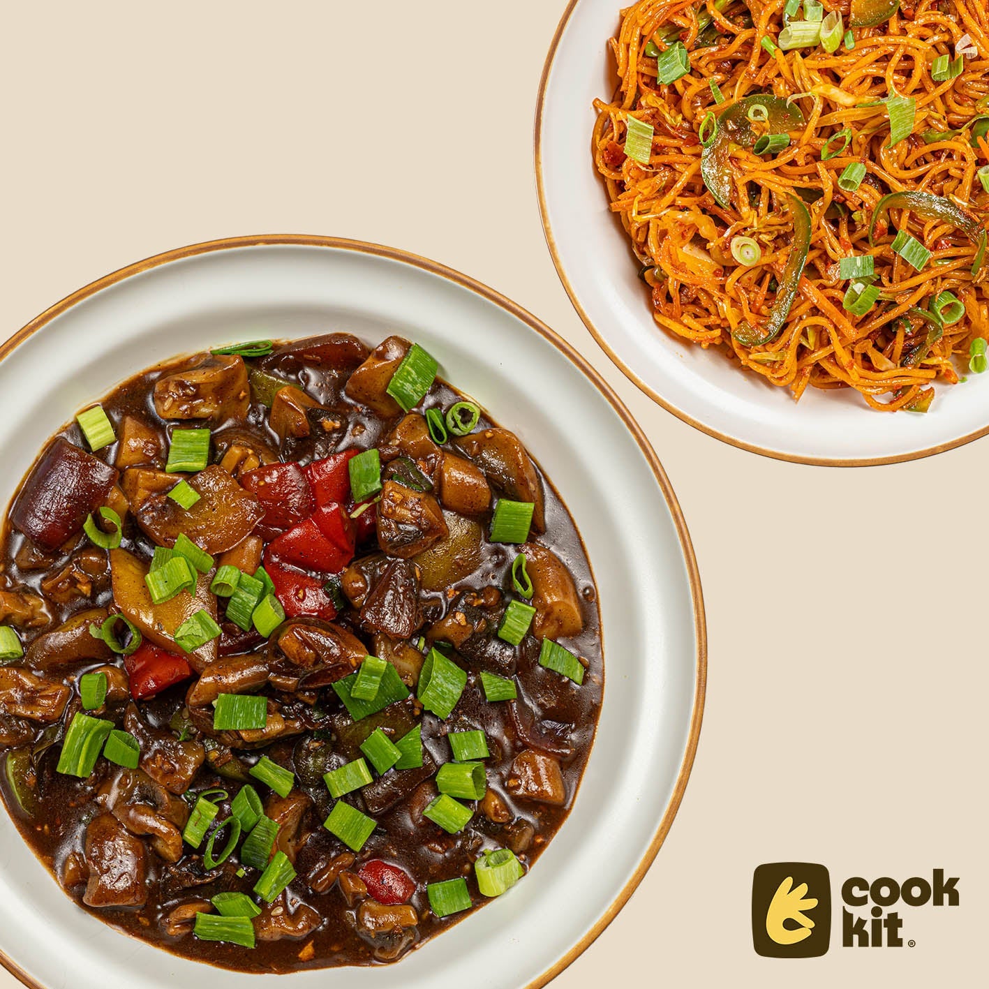 Mushroom Black Bean sauce stir fry + Veg Schezwan Noodles.