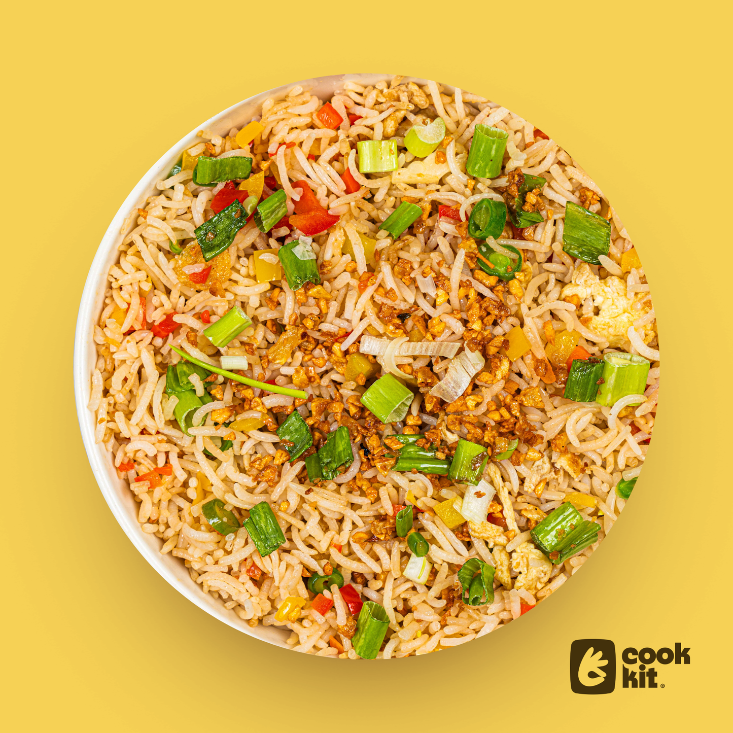 Veg Burnt Garlic Fried Rice