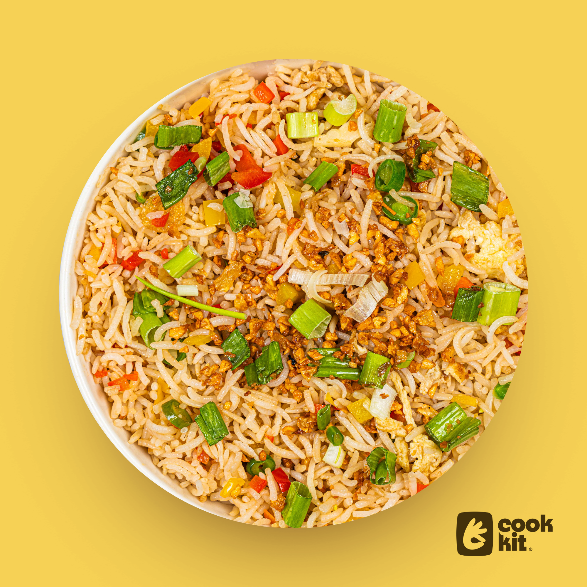 Veg Burnt Garlic Fried Rice.