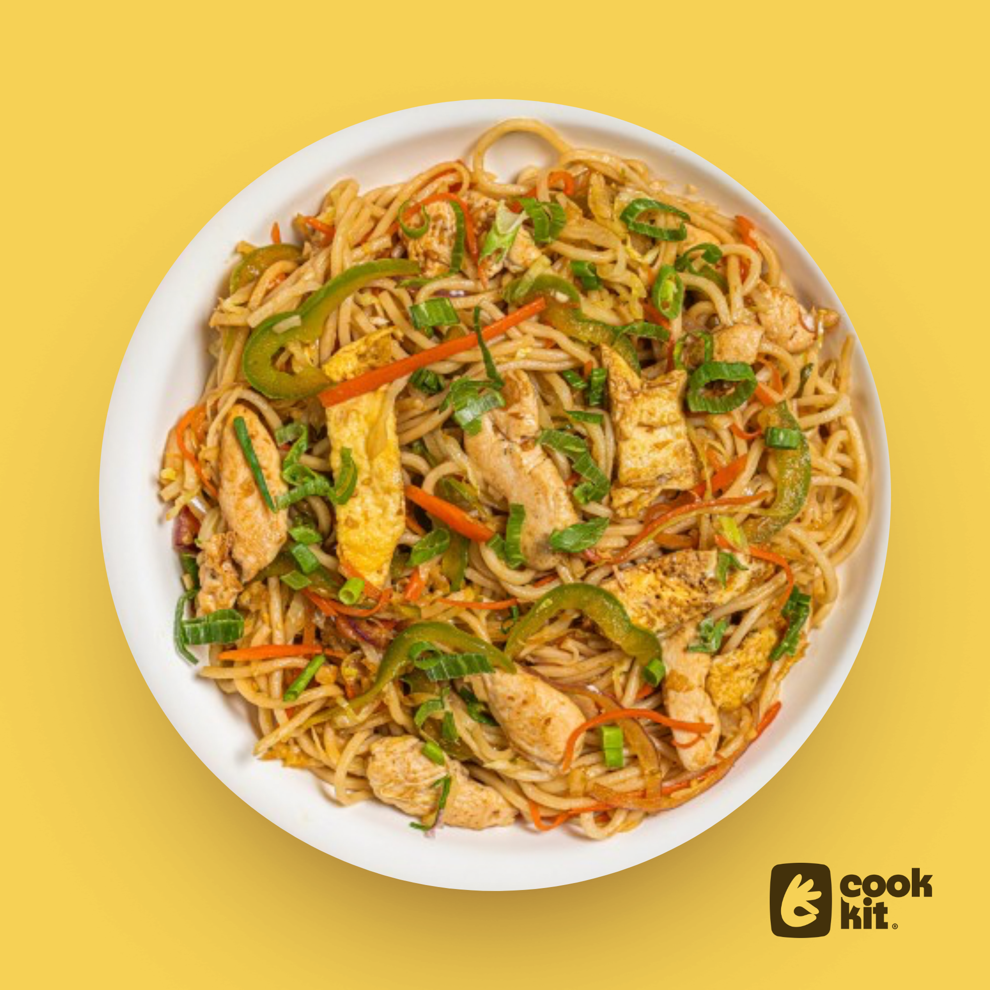 Chicken Hakka Noodles.
