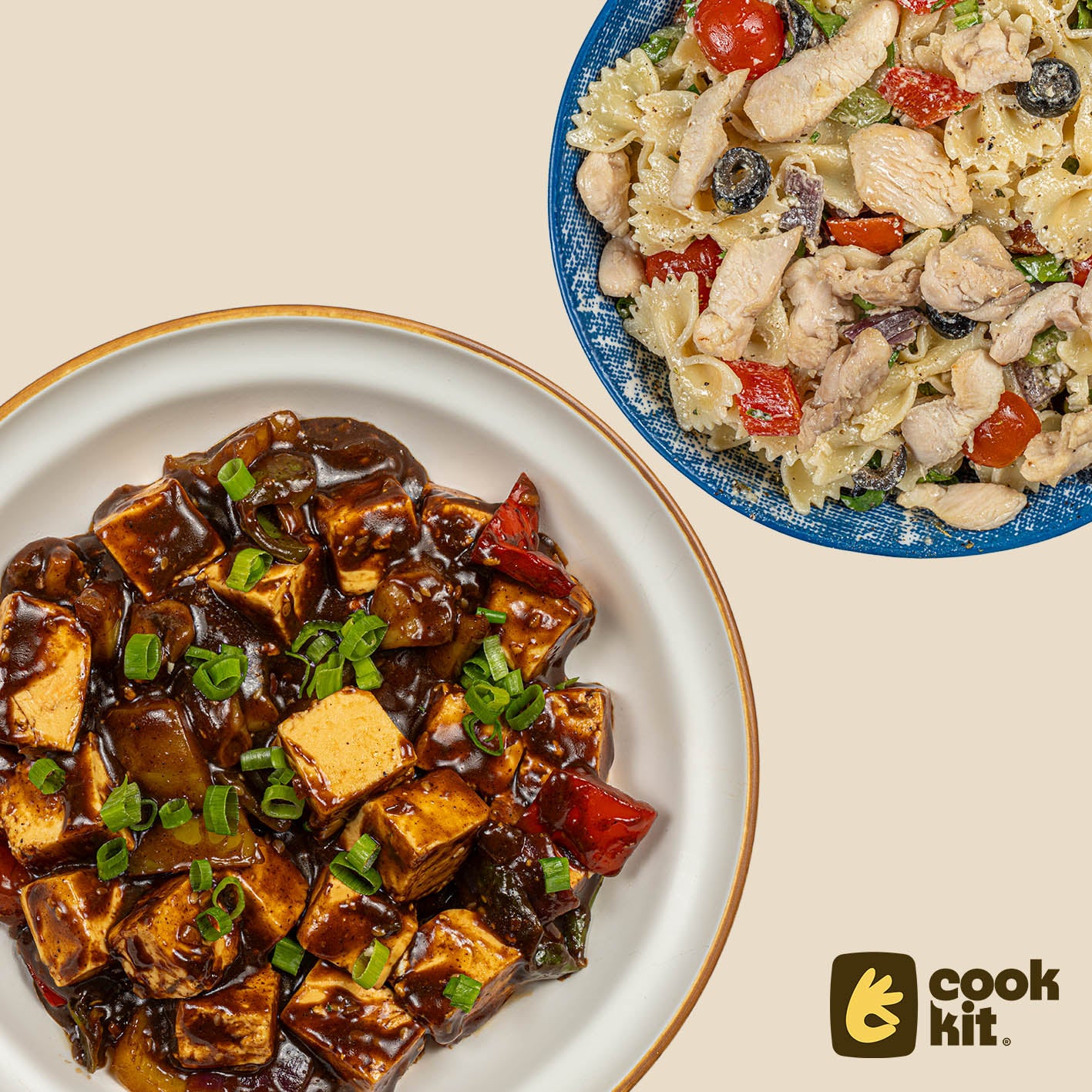 Paneer Black Bean sauce stir fry + Chicken Pasta Salad
